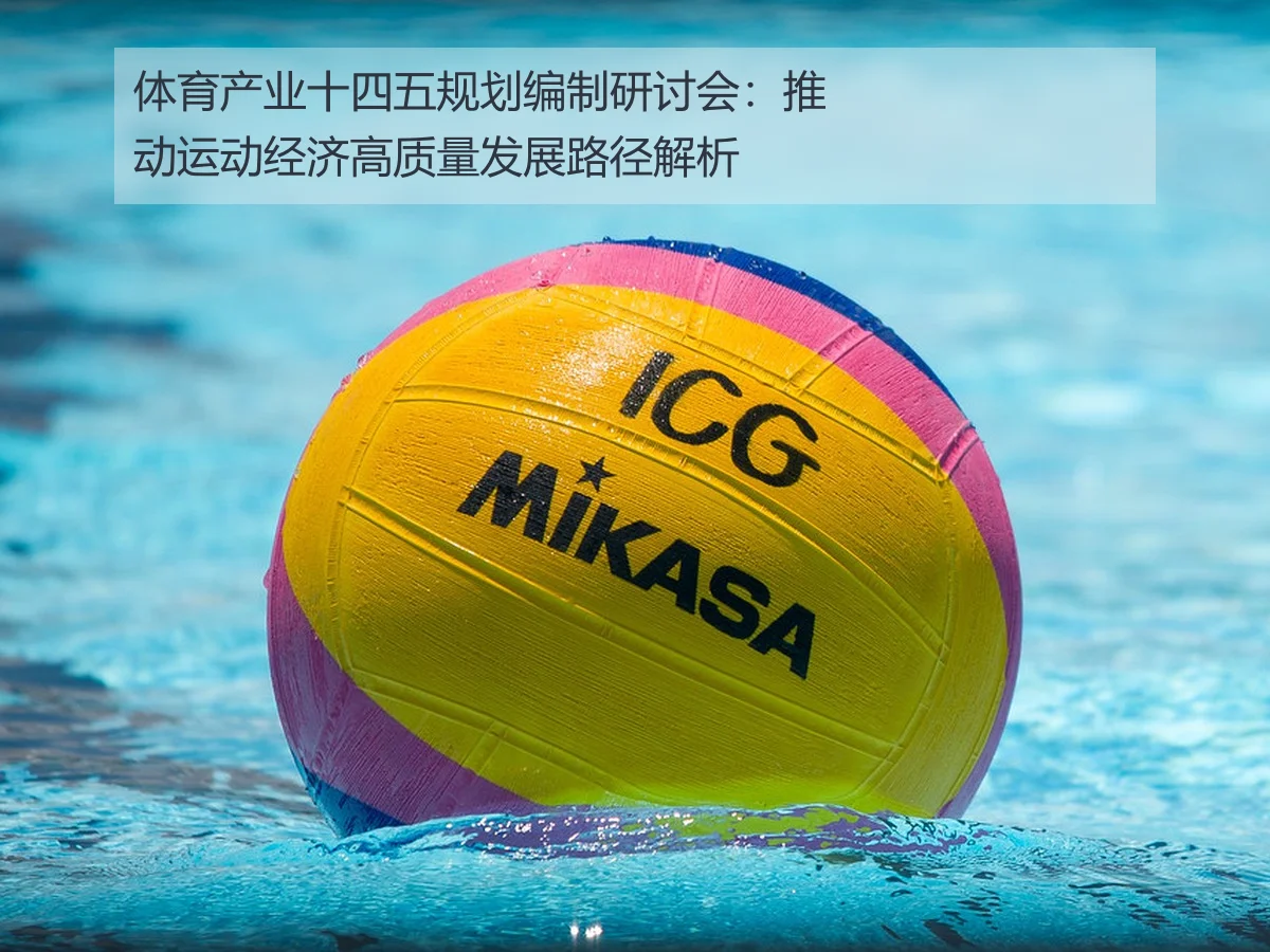 体育产业十四五规划编制研讨会：推动运动经济高质量发展路径解析